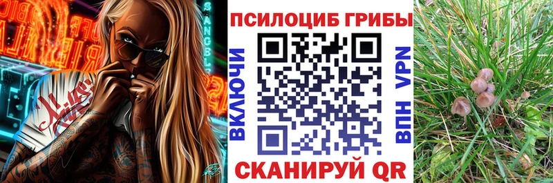 Галлюциногенные грибы MAGIC MUSHROOMS  Купить  Судак 