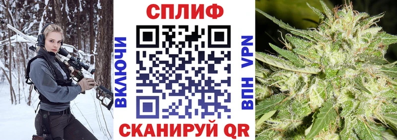 Купить закладки  Судак  Конопля гибрид 